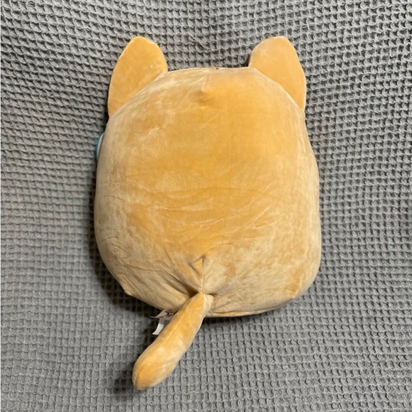 Squishmallow Nathan The Tabby Cat - Picture 4 of 6